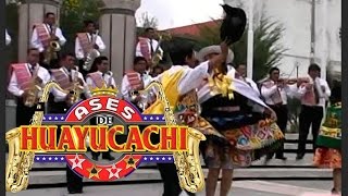 LOS ASES DE HUAYUCACHI♠♥♦♣EL PIO PIO ♠♥♦♣ HUAYLAS [upl. by Skerl]