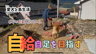 【愛犬と島暮らし】小さな畑作りからスタート [upl. by Wootan105]