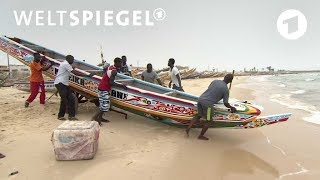 Senegal Aussichtsloser Kampf der Fischer  Weltspiegel [upl. by Salchunas]