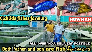 Ornamental Fishes FARMING in Howrah  Indian aquarium fish farmer [upl. by Asilef844]