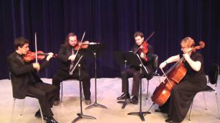 St Louis String Quartet  Classical Wedding Ceremony Music  The Matt McCallie Orchestra [upl. by Darcia587]