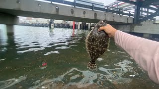 flounder fishing the flounder run Galveston Tx [upl. by Nannette]