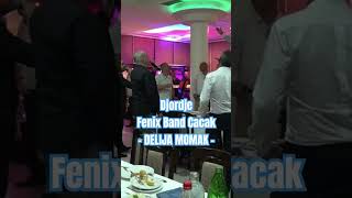 Menadzer 0653718370 Djordje amp Fenix Band Cacak Bendovi Za Svadbe Uzice wwwfenixbandcacakcom [upl. by Merkle518]