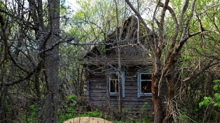 Gjetën një kabinë misterioze në pyll dhe ajo se çka shohin brenda do tju lë pa fjalë [upl. by Hgielra479]