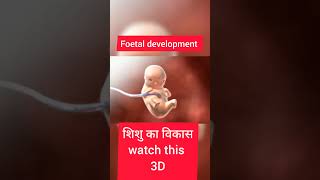 Foetal Development Animation 3D howtogetsuccessinlife successyourlife howtoachievesuccessinlife [upl. by Duwad]