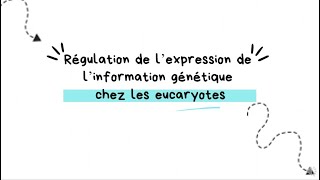 GÉNÉTIQUE 🧬 régulation dexpression des gènes [upl. by Norrab195]