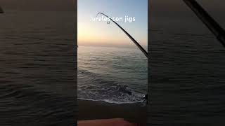 Jureles desde playa con jigs [upl. by Forrer]