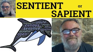 😎 Sentient Meaning  Sapient Definition  Sentient vs Sapient Examples  Sapient or Sentient [upl. by Hsac]