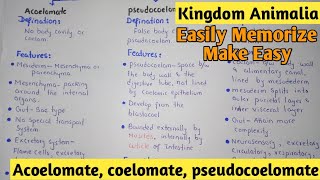 Acoelomate  Coelomate  Pdeudocoelomate  Kingdom Animalia  Class 11 [upl. by Cheslie]