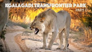 Kgalagadi  Rooiputs Matopi Two Rivers  Part 1 [upl. by Nnaer]