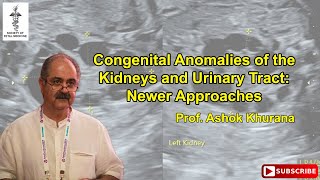 Congenital Anomalies of the Kidney and Urinary Tract Newer Approaches  Dr Ashok Khurana [upl. by Cassil]