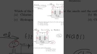 Chlor alkali process [upl. by Oiramaj404]