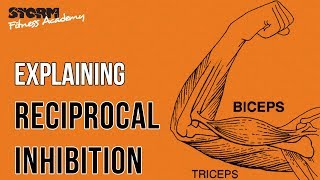 Reciprocal inhibition  Storm Fitness Academy [upl. by Jennie]