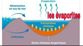 Evaporites [upl. by Leasa]