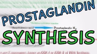 Biochemistry Help Prostaglandin Synthesis explained in 4 Minutes How are Prostaglandins made [upl. by Atikin]