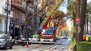 INTERVENTION Valencia Fire Service  CUTTING DOWN A DANGEROUS PALM TREE [upl. by Anerys415]