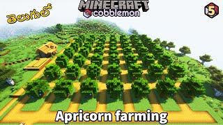 Minecraft Cobblemon  Apricorn farming  5  In Telugu [upl. by Hertha823]