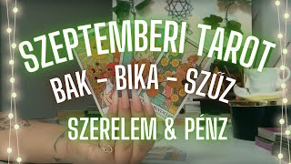 ✨ Bak Bika Szűz szeptember havi tarot ✨ szerelem ❤️ pénz 💸 ✨ Mit hoz ez a hónap ✨ [upl. by Eidualc]