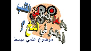 استشكالية قديمة  واش لعقل بلاستو في القلب أو بلاستو في المخ 😳⛔️ SIMOU [upl. by Ahseuqal870]