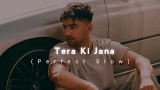 Tera Ki Jana  SlowedReverb Jass Manak  Lofi  New Punjabi Song [upl. by Elokin]