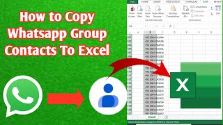 how to copy whatsapp group contacts  Export WhatsApp Group Contacts to Excel  2024 [upl. by Vladimir]