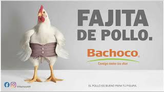 La Mejor Publicidad Bachoco [upl. by Liebowitz]