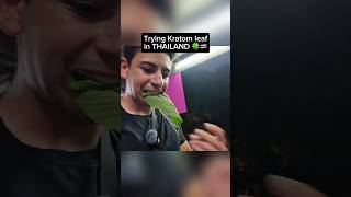 I Tried KRATOM Leaf in Thailand 🍃🇹🇭 [upl. by Zita337]