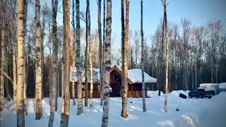 Elvie Travels To Alaska And Arrives at Miller Family’s Montana Haven Log Cabin [upl. by Macario386]