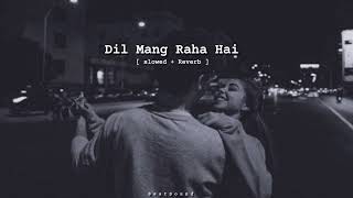 Dil Mang Raha Hai Mohlat  Slowed  Reverb  Yaseer Desai [upl. by Belayneh]