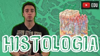 Biologia  Histologia  Visão Geral para o Enem e Vestibulares [upl. by Sherman661]