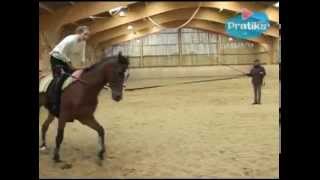 Equestrian Vaulting  What is Equestrian vaulting [upl. by Hartley447]