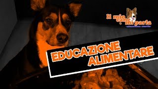 Educazione alimentare [upl. by Veradis162]