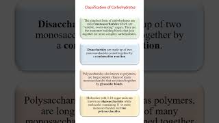 Classification of Carbohydrates  shorts [upl. by Rogozen]