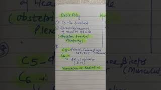 Difference between erbs palsy and klumpke palsy [upl. by Kajdan]