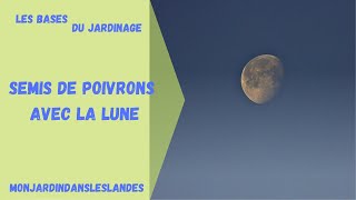 Comment semer les poivrons avec la lune  Monjardindansleslandes [upl. by Gideon]