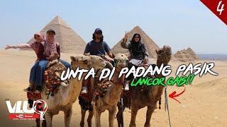 Naik UNTA di PYRAMID MESIR  VLUQ335 [upl. by Normac]