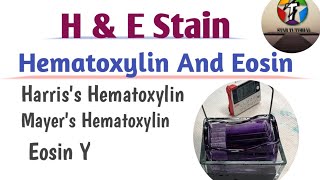 Hematoxylin And Eosin Staining Method ll Histopathology [upl. by Eidroj677]