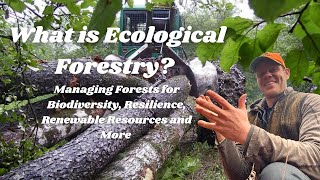 What is Ecological Forestry [upl. by Lovell]