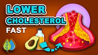 Top 10 Foods that Lower Cholesterol Fast  Best Foods to Lower Cholesterol [upl. by Yecnay]