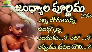 యజ్ఞోపవీతం ఎందుకు ధరించాలి జంధ్యం JandhyalaPournami BEST Yagnopavetam SRAVANAPOURNAMI [upl. by Ociral]