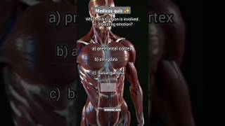 Anatomy important quiz 😊shortsviralvideos [upl. by Angela]