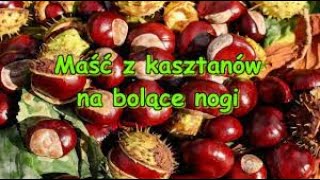 Maść z kasztanów na żylaki pajączki i obolałe nogi  Jak wykonać samemu [upl. by Siraf]