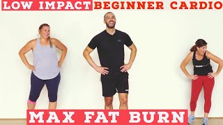 Fat burning Beginner LOW IMPACT home cardio workout  all standing [upl. by Dorahs829]