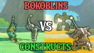 Bokoblins VS Constructs EPIC BATTLE  Zelda Tears of the Kingdom [upl. by Jecho399]