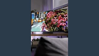 Samsung SNinetyC 65 inch 4K OLED TV Review  Is It Worth It [upl. by Ardnossak925]