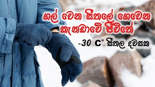 පට්ට සීතල කැනඩාවේ Winter එකේ දවසක්  Freezing Day in Calgary Canada [upl. by Llenad]