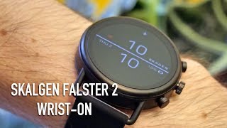 Skagen Falster 2  Wriston Review [upl. by Marceau562]