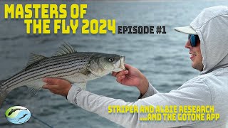 2024 Master of the Fly 1  Striped Bass and False Albacore Research and the GotOne App [upl. by Halas646]