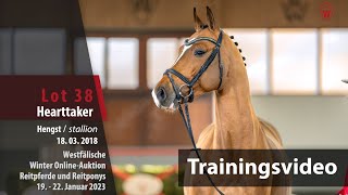 Winter OnlineAuktion Training Lot 38 Hearttaker Hengst v Hampshire VDL  Lupicor [upl. by Adlesirg]