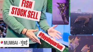 NEW FISH STOCK🤩 IN MUMBAI FRESH WATER FISH FISH TANK BEST PRICE FISH PET ROYAL PETS SHOP amp AQUARIUM [upl. by Bartolemo]